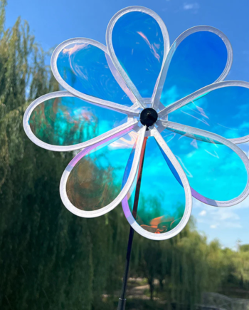 Wikz Vindhjul - Twista Flower XL - 50 cm - Transparent